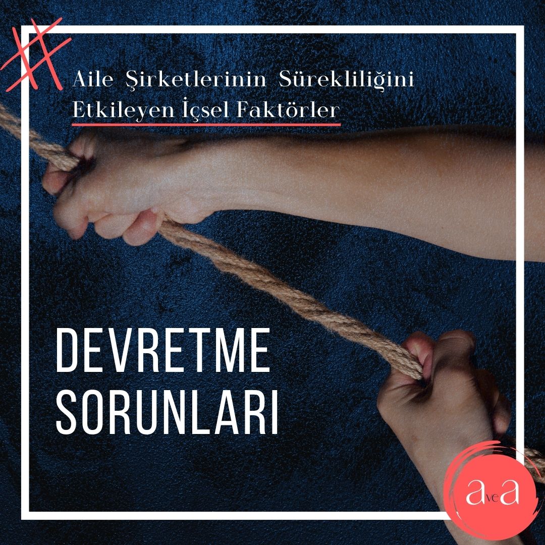 Aile Şirketlerinin Sürekliğini Etkileyen İçsel Faktörler – Devretme Sorunları